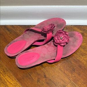 Coach Fuchsia Floral Women's Sandals